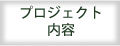 プロジェクト内容