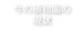 今の植物園の現状